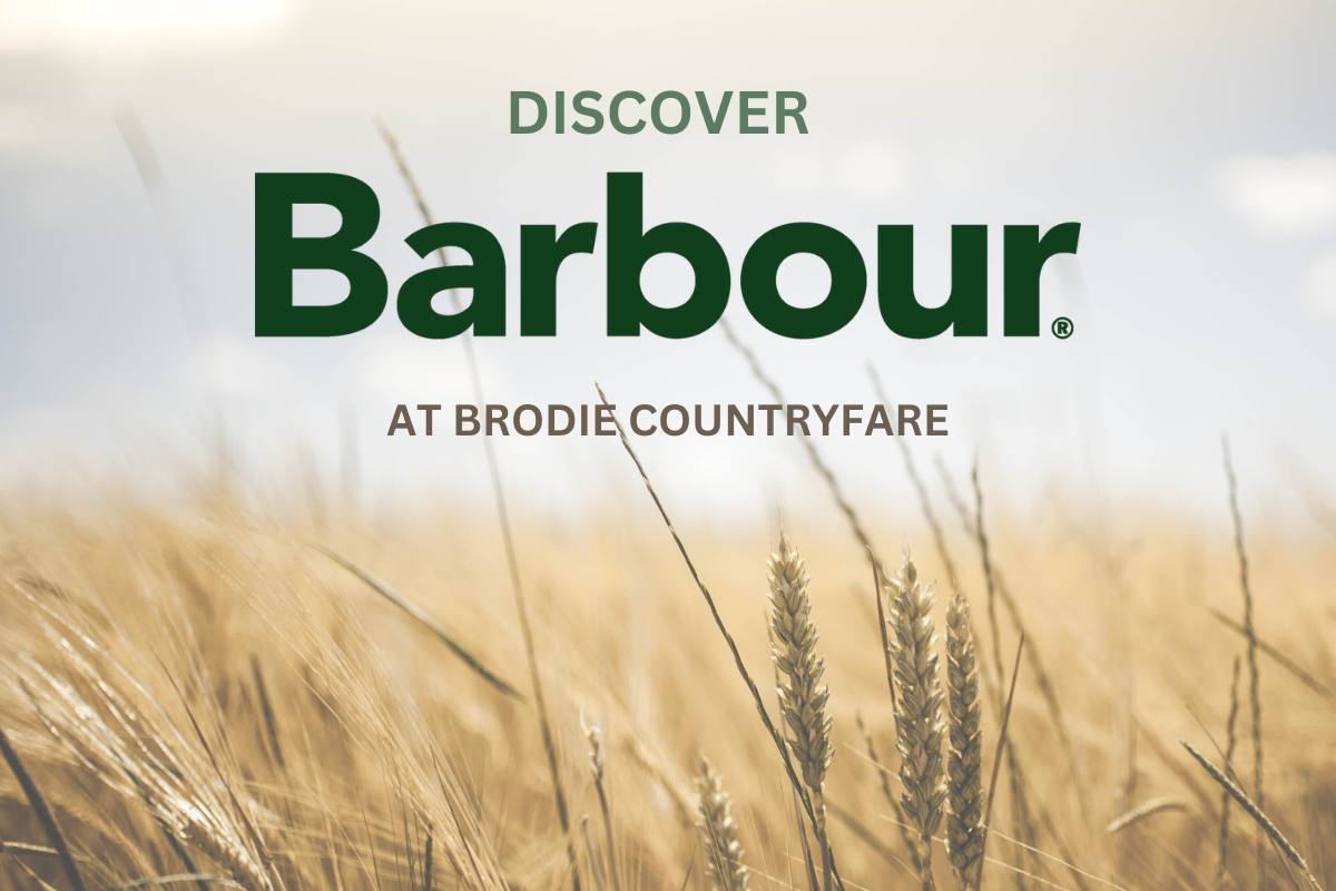 Image of corn field with text "Discover Barbour at Brodie Countryfare"