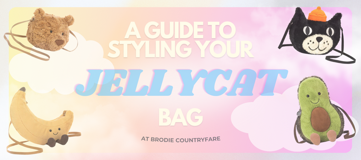 Blog banner image with blog title and images of Jelly Cat bag products.