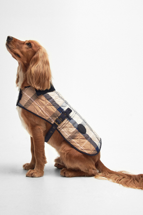 An image of a dog wearing the Barbour Tartan Dog Coat in the colour Primrose Hessian.