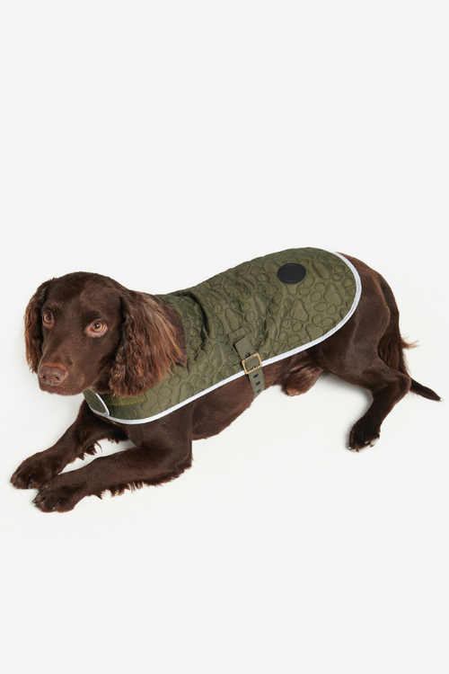 An image of a dog wearing the Barbur Paw-Quilted Dog Coat in the colour Olive.