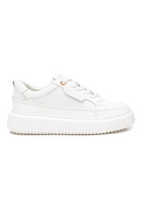 An image of the Carmela Trainers