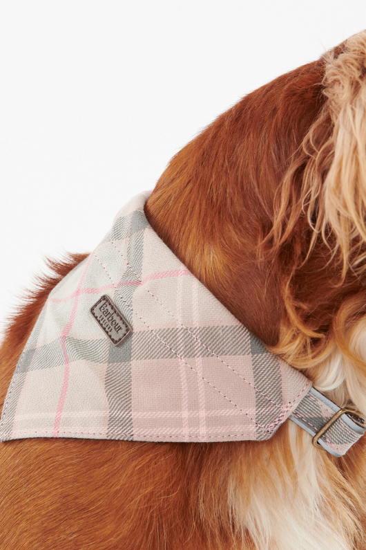 An image of a dog wearing the Barbour Tartan Bandana in the colour Taupe/Pink.