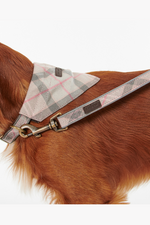 An image of a dog wearing the Barbour Reflective Tartan Dog Lead in the colour Taupe/Pink Tartan.