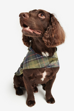 An image of a dog wearing the Barbour Packable Tartan Dog Coat in the colour Classic Tartan.