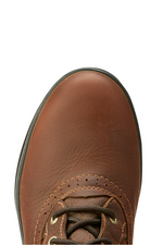 An image of the Ariat Wythburn Tall Waterproof Boot in the colour Dark Brown.