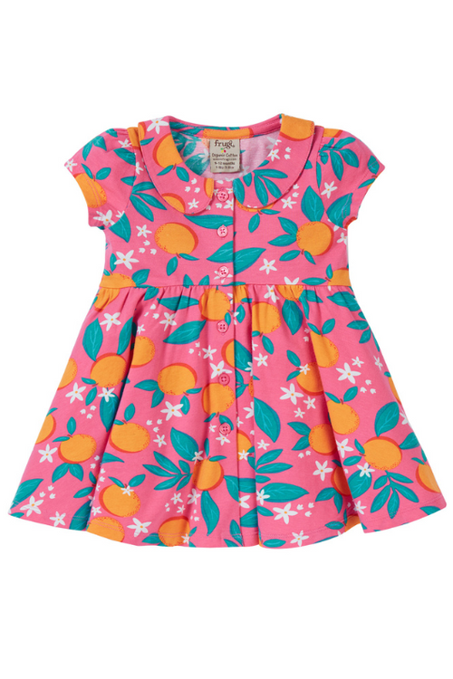 Frugi Lettie Dress. A short sleeve dress with full skirt, Peter Pan collar, button fastenings, and pink orange blossom print.