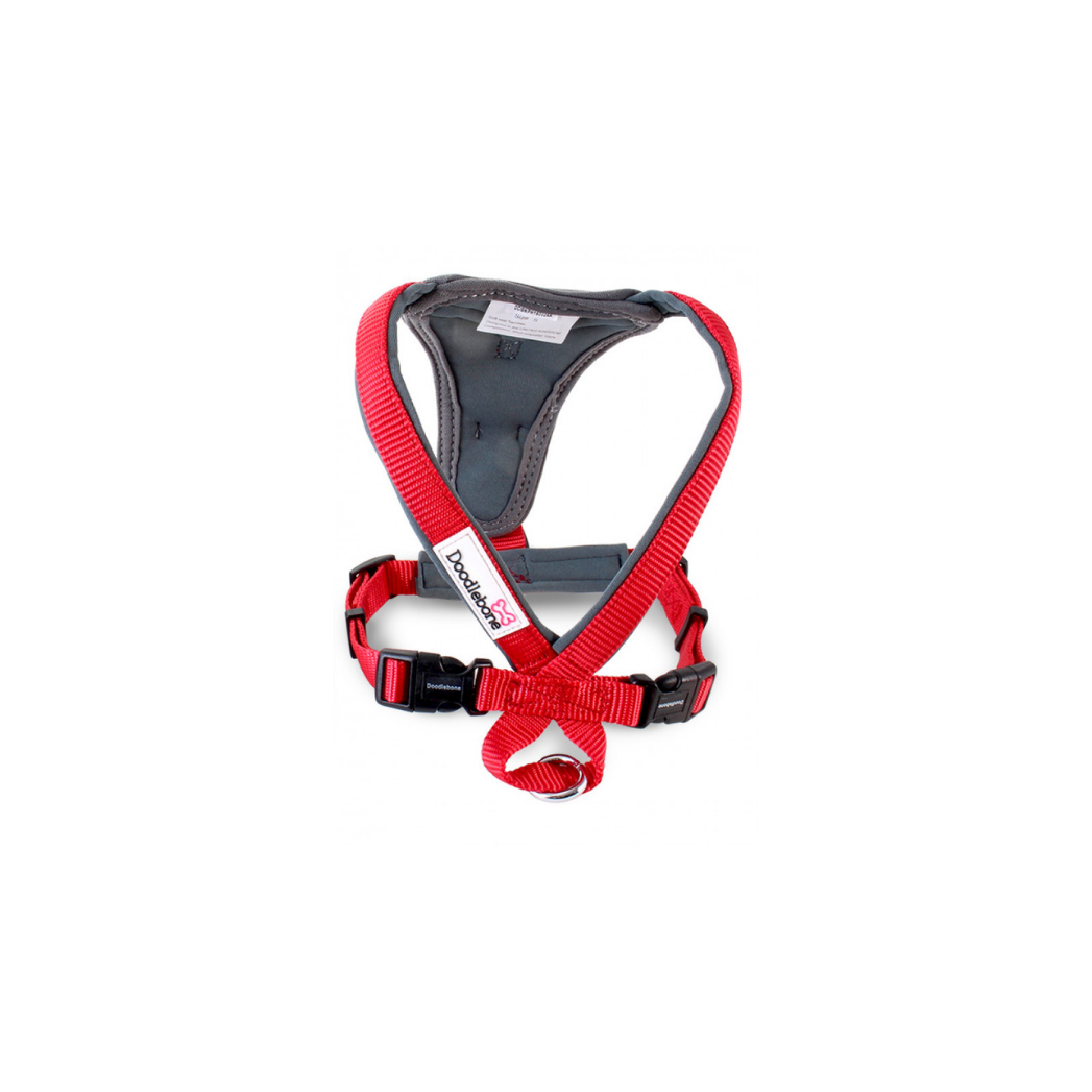Doodlebone x over clearance harness