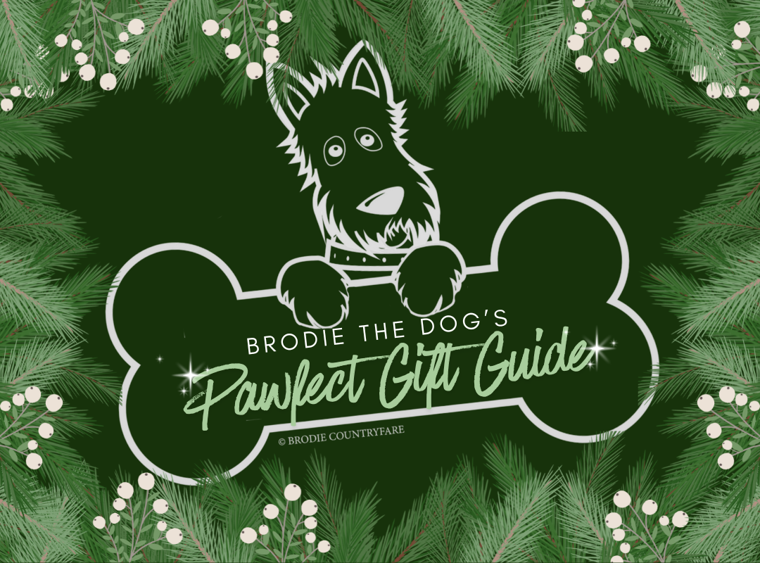 Brodie The Dog’s Pawfect Gift Guide for Pet Lovers