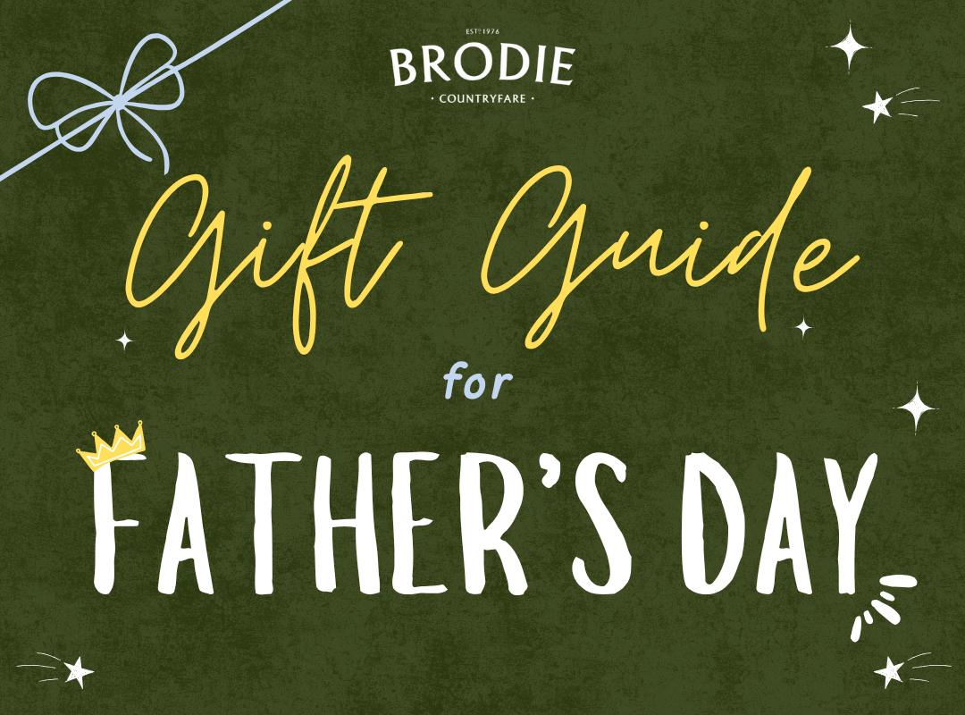 Father's Day Gift Guide