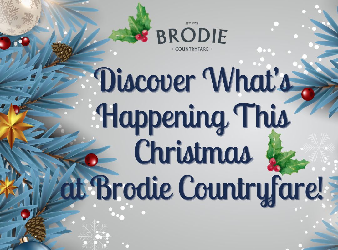 What's On This Christmas at Brodie!