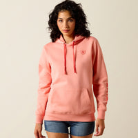 An image of the Ariat Ariat Logo 20 Hoody