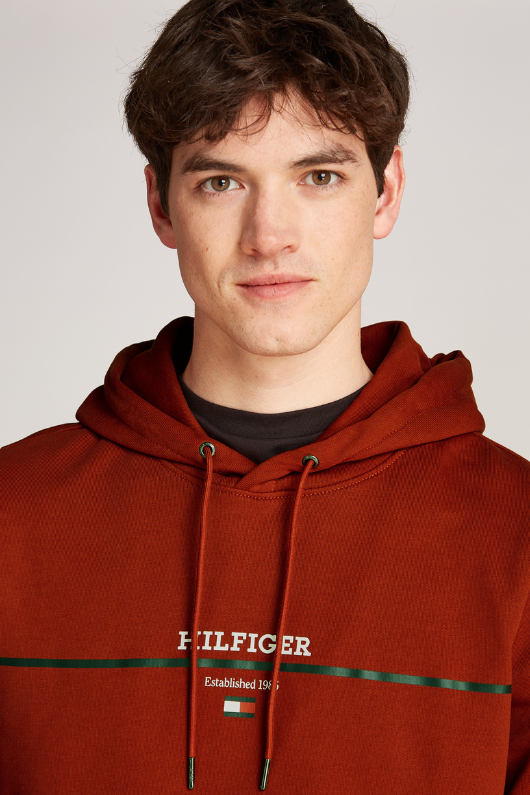 An image of the Tommy Hilfiger Hilfiger Stripe Terry Hoodie