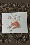 An image of the Vanessa Bathgate Red Squirrel Design