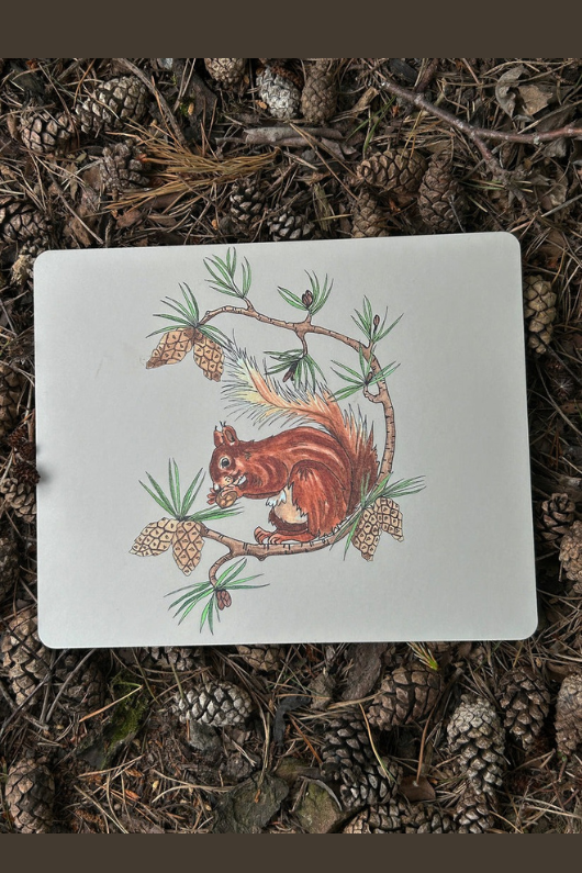 An image of the Vanessa Bathgate Red Squirrel Design