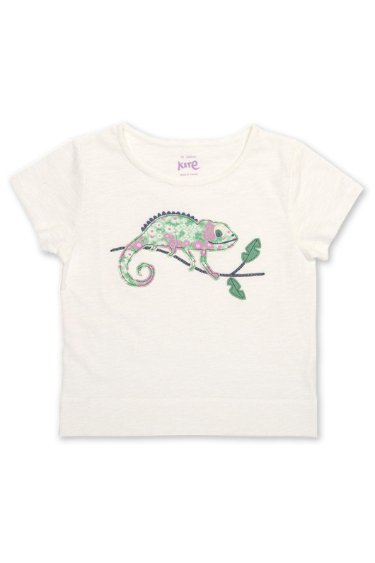 An image of the Kite T-Shirt