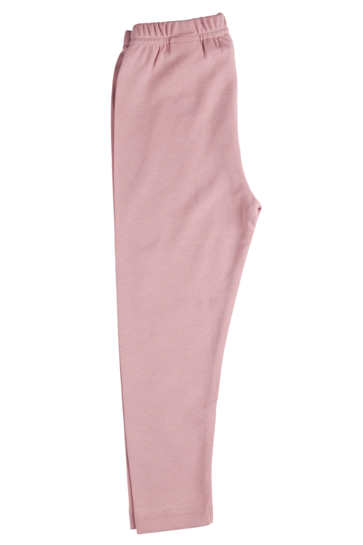 An image of the Pigeon Leggings