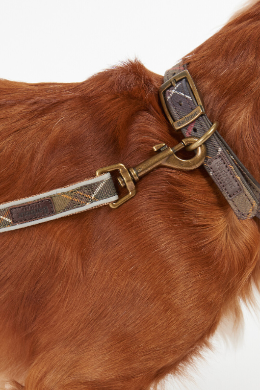 An image of a dog wearing the Barbour Reflective Tartan Dog Lead in the colour Classic Tartan.