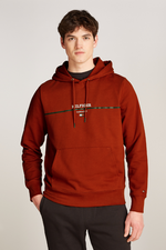 An image of the Tommy Hilfiger Hilfiger Stripe Terry Hoodie