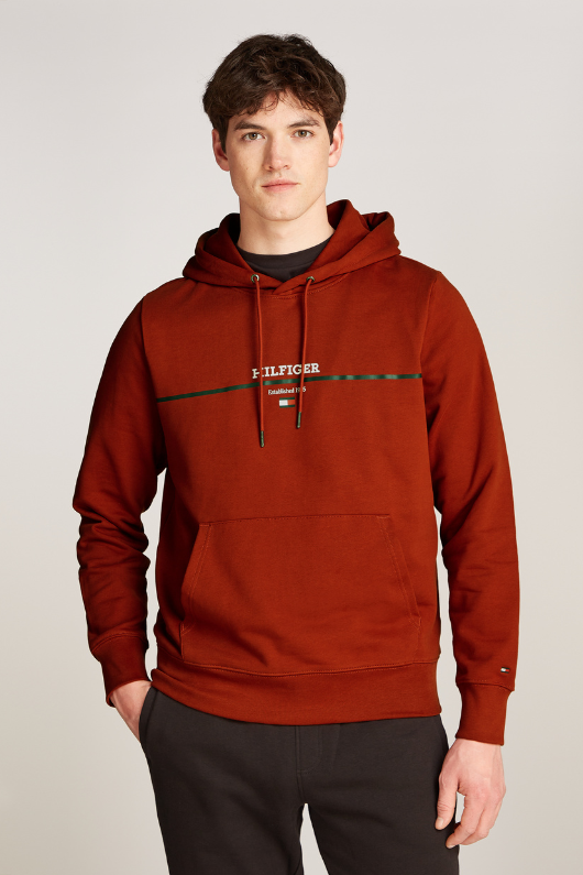 An image of the Tommy Hilfiger Hilfiger Stripe Terry Hoodie