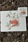 An image of the Vanessa Bathgate Red Squirrel Design