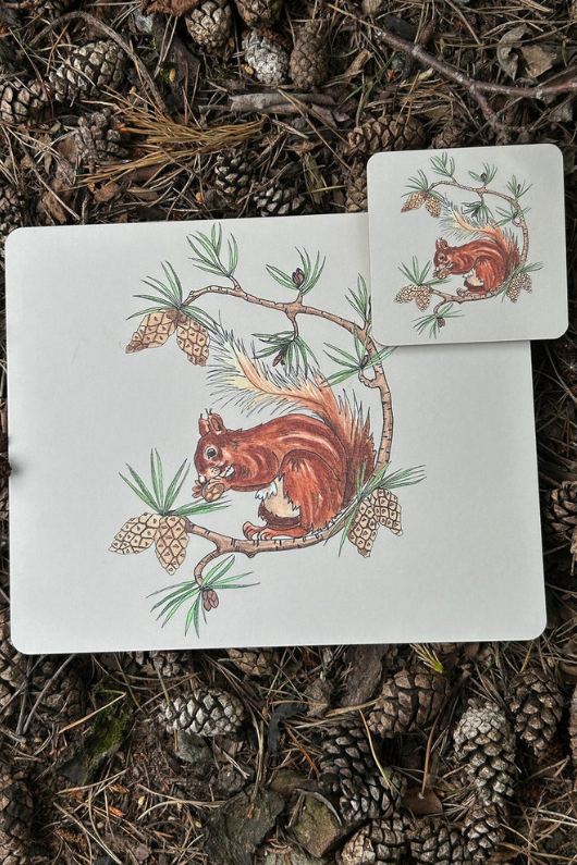 An image of the Vanessa Bathgate Red Squirrel Design