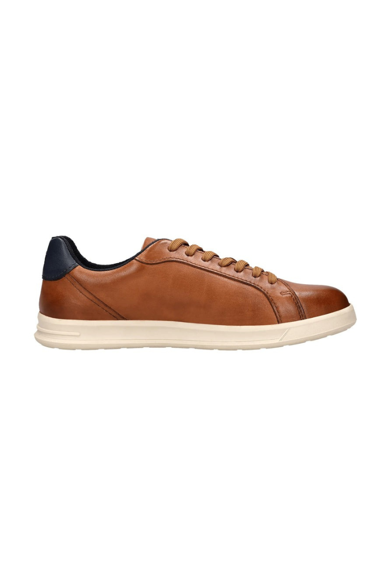 An image of the Bugatti Powder Sneaker