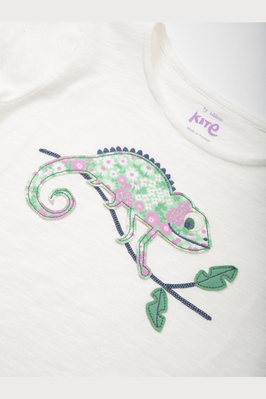 An image of the Kite T-Shirt