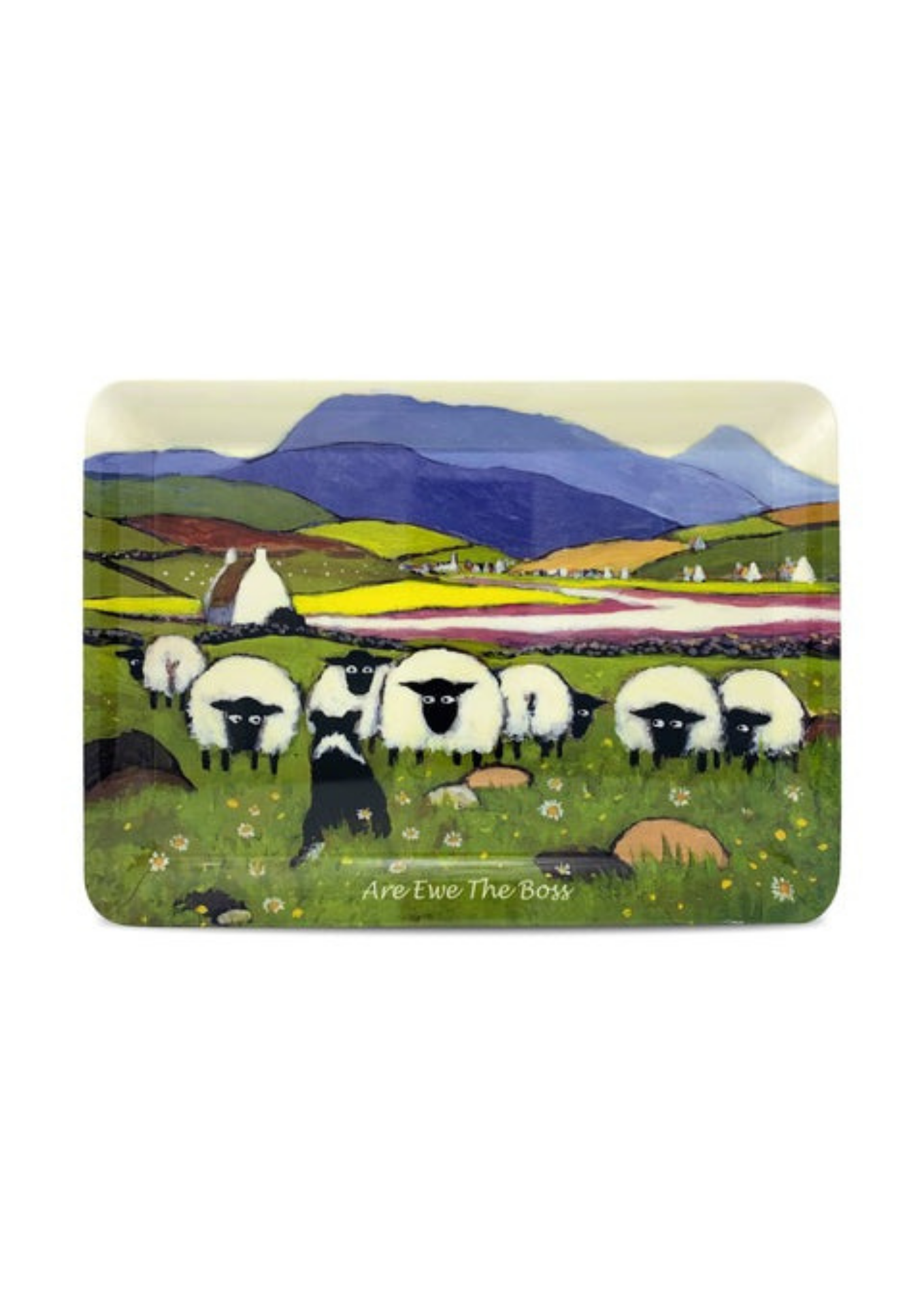 An image of the Thomas Joseph Tray