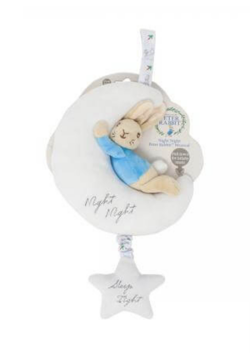 An image of the Rainbow Designs Night Night Musical Peter