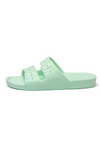 An image of the Freedom Moses Basic Slides
