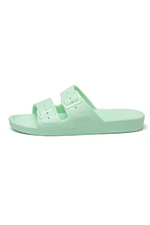 An image of the Freedom Moses Basic Slides