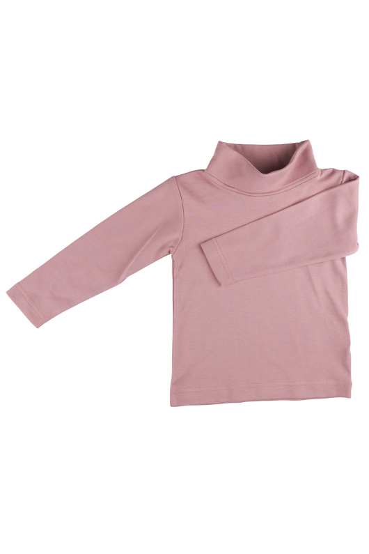 An image of the Pigeon Polo Neck Top