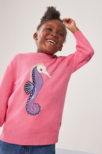 An image of the Crew Clothing Seahorse Jumper