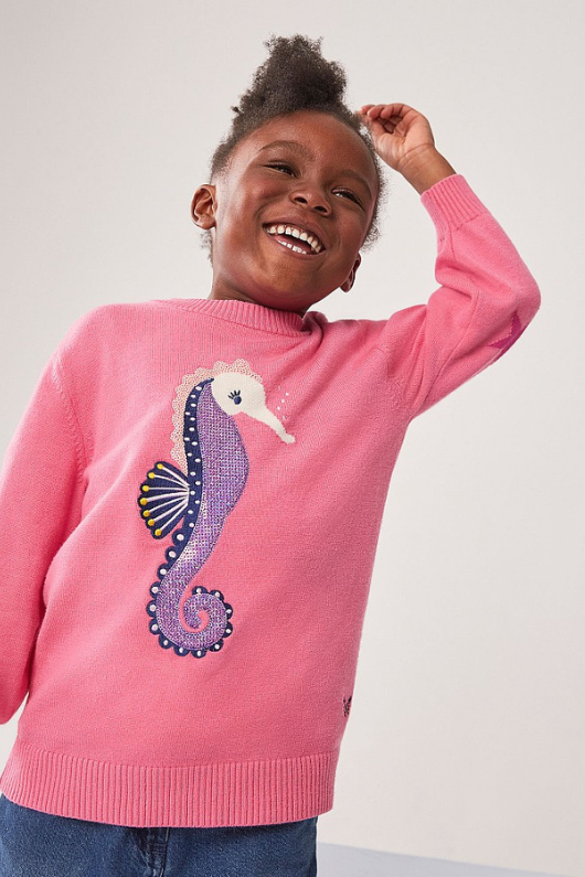 An image of the Crew Clothing Seahorse Jumper