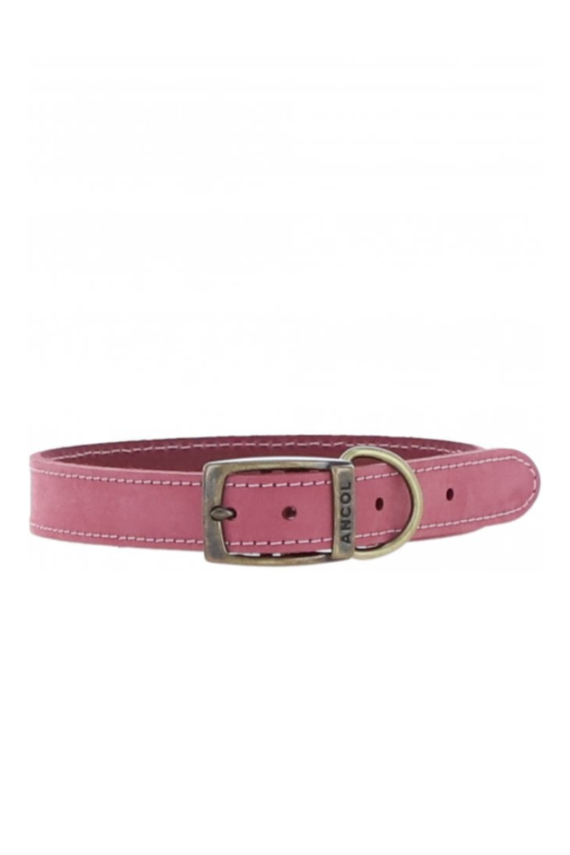 Leather Pet Collar