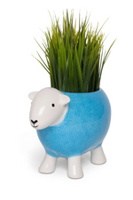 The Herdy Company Sheep Planter in Blue.