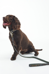 An image of the Barbour Reflective Tartan Comfort Dog Lead