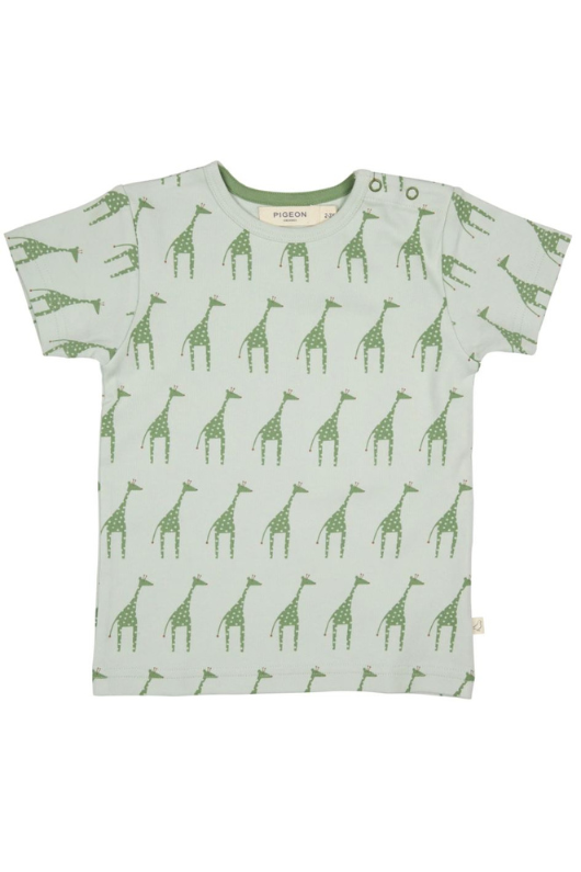 An image of the Pigeon Short Sleeve T-Shirt