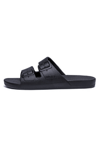 An image of the Freedom Moses Basic Slides