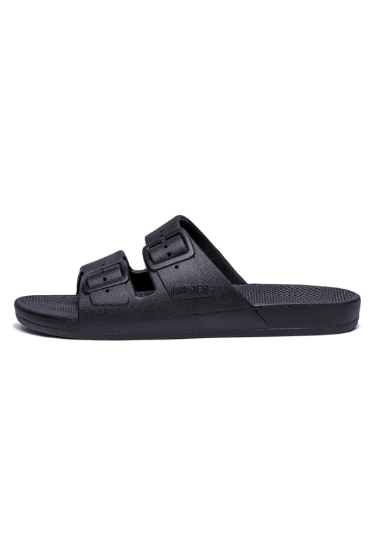 An image of the Freedom Moses Basic Slides