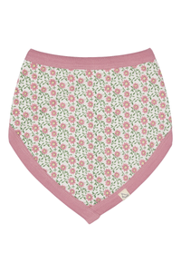 An image of the Pigeon Bib