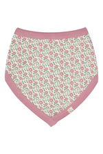 An image of the Pigeon Bib