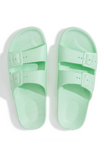 An image of the Freedom Moses Basic Slides