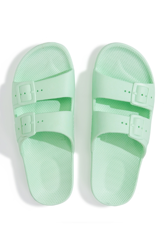 An image of the Freedom Moses Basic Slides
