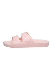 An image of the Freedom Moses Basic Slides