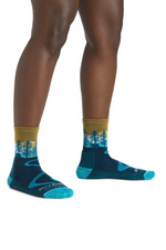 An image of the Darn Tough Northwoods Micro Crew Midweight Hiking Socks
