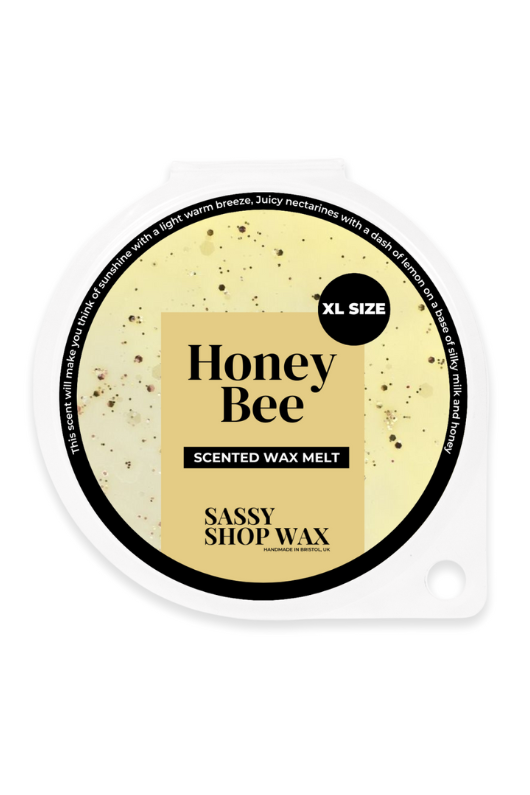 An image of the Sassy Scents Wax Melts 70g