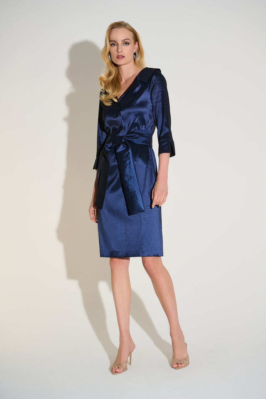 An image of the Joseph Ribkoff Dress