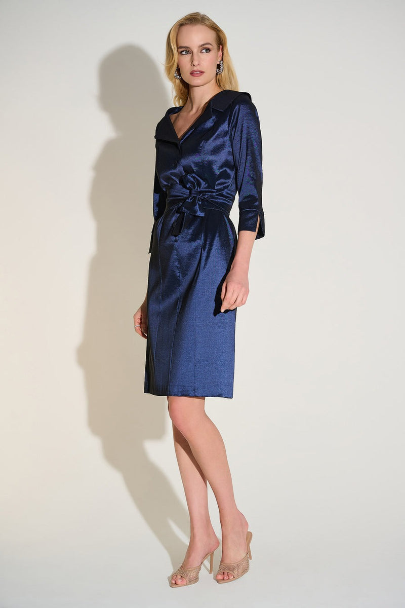 An image of the Joseph Ribkoff Dress