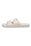 An image of the Freedom Moses Basic Slides